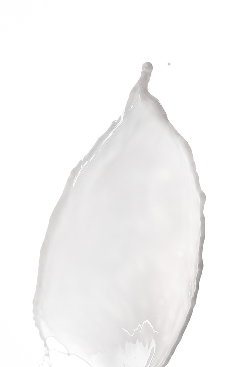 pure fresh white milk splash isolated on white