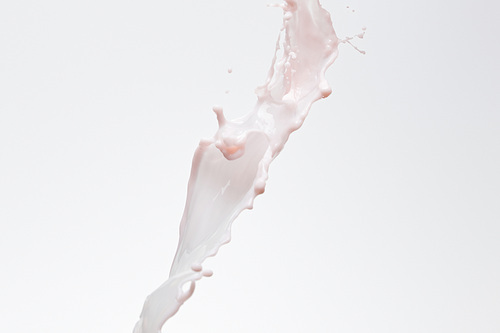 fresh pink milk splash with drops isolated on white
