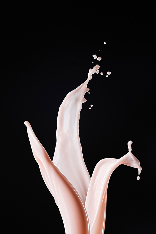 fresh pink milk splashes isolated on black