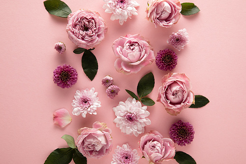 top view of blooming spring flowers on pink background