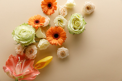 top view of spring flowers scattered on beige background