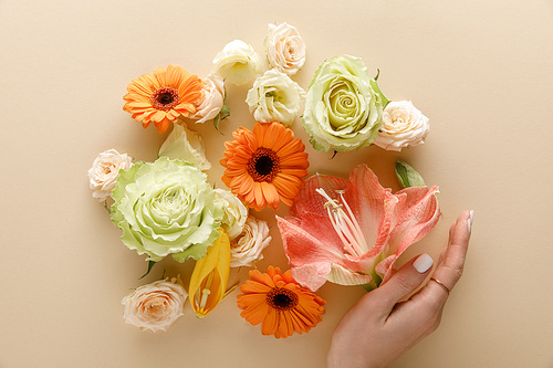 top view of spring flowers and female hand on beige background