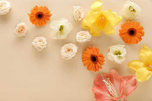 top view of spring flowers scattered on beige background