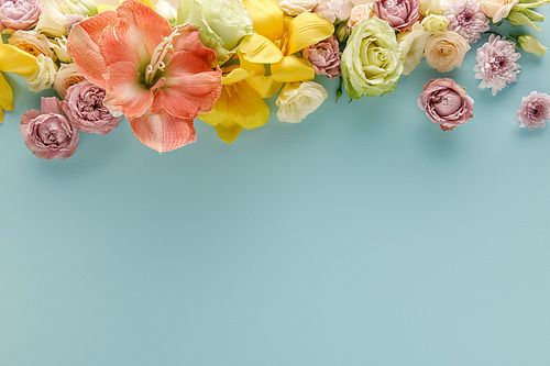 top view of spring flowers on blue background
