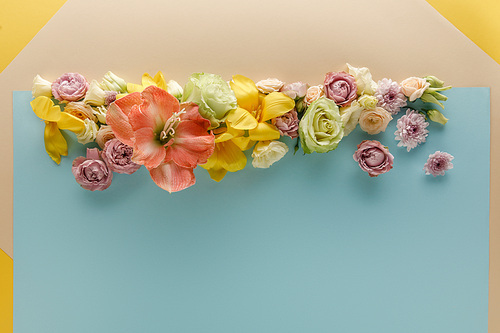 top view of spring flowers on beige, blue and yellow background