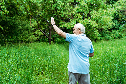 happy senior man with grey hair waving hand in park