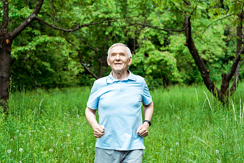 cheerful senior man with grey hair standing in green park