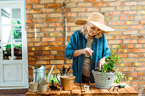 cheerful senior woman in straw hat holding shovel near plant