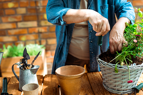 cropped view of retired woman holding shovel near flowerpot