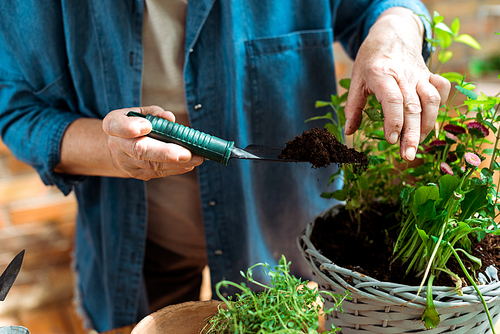 cropped view of senior woman holding shovel with ground near flowerpot