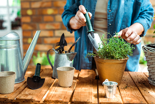 cropped view of senior woman holding shovel near green plant and gardening tools