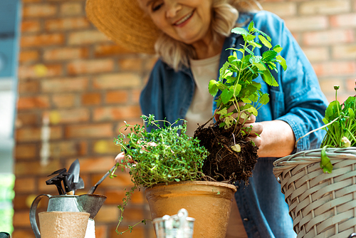 selective focus of cheerful woman planting green plant