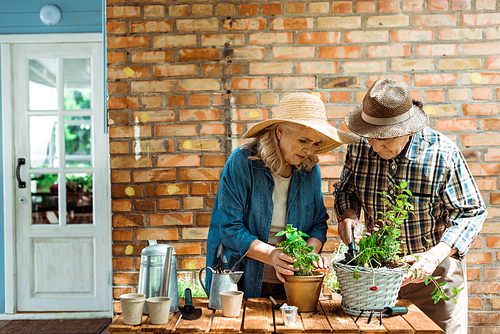 senior woman and man in straw hats standing near green plants and brick wall