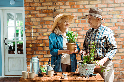 senior woman in straw hat looking at husband and holding green plant