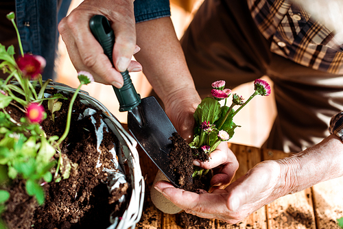 cropped view of senior man and woman touching plant while holding shovel