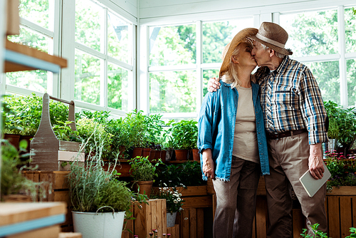 selective focus of senior couple kissing near plants