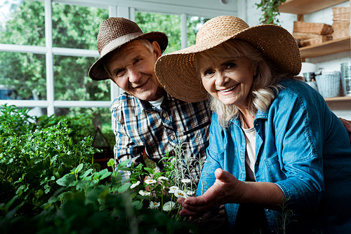 selective focus of cheerful retired man and woman smiling while  near green plants