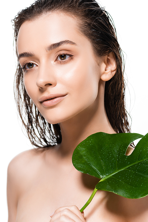 beautiful wet naked young woman with palm leaf with water drops isolated on white