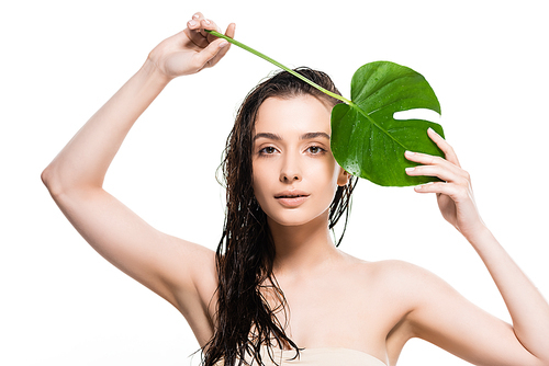 beautiful wet  young woman posing with green palm leaf with water drops isolated on white