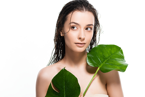 beautiful wet young woman looking away and holding green palm leaves with water drops isolated on white