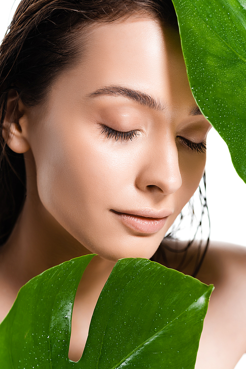 beautiful wet naked young woman with closed eyes holding green leaves with water drops isolated on white