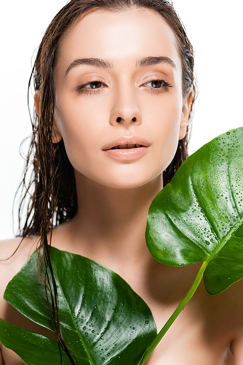 beautiful wet naked young woman looking away while holding green palm leaves with water drops isolated on white