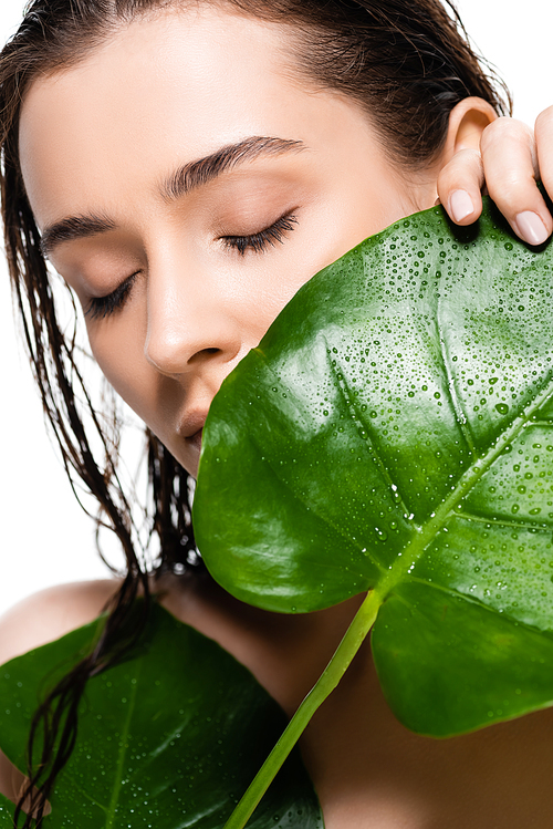 beautiful wet naked young woman with closed eyes holding green palm leaves with water drops isolated on white