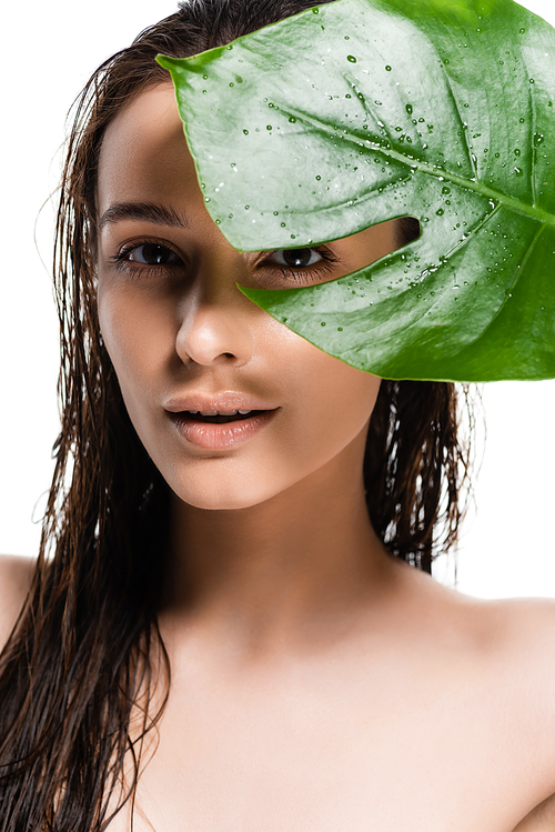 beautiful wet naked young woman holding green leaf isolated on white