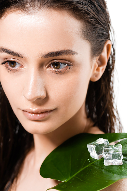 beautiful wet naked young woman with ice cubes and green leaf on shoulder isolated on white