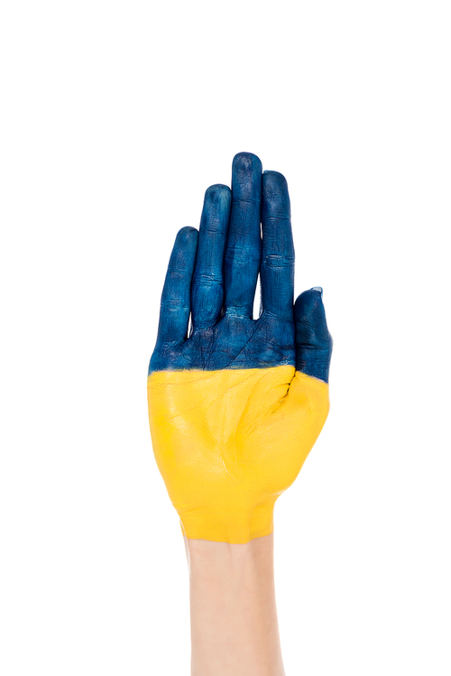 cropped view of hand with painted Ukrainian flag isolated on white