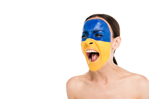 naked young woman with painted Ukrainian flag on skin screaming isolated on white