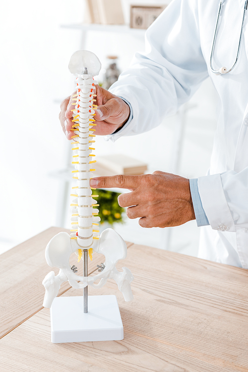 cropped view of doctor in white coat pointing with finger at spine model