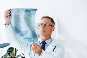 doctor in white coat and glasses looking at x-ray in clinic