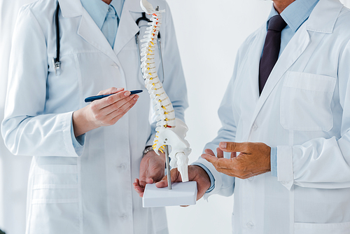 cropped view of doctor holding spine model near coworker in clinic