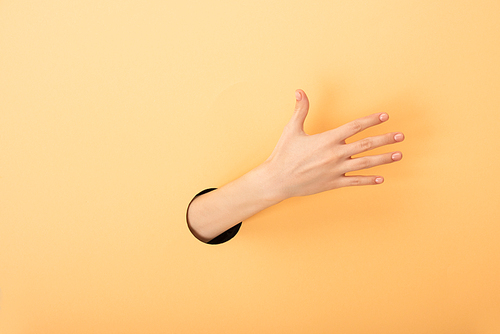 cropped view of hand of woman in hole on orange