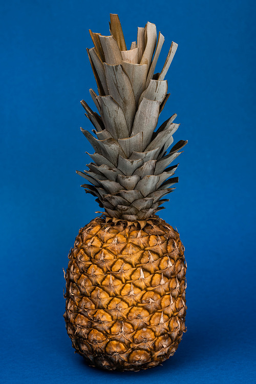 tasty, organic and whole pineapple on blue background
