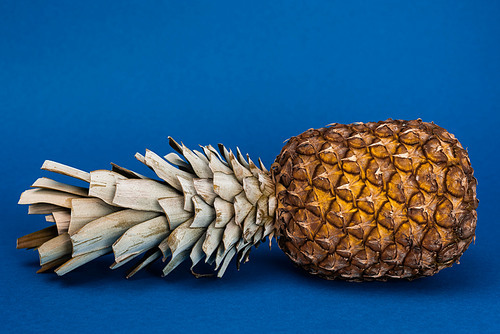 tasty, organic and whole pineapple on blue background with copy space