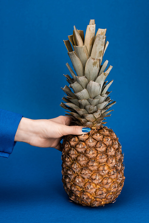 cropped view of woman holding tasty and whole pineapple on blue background