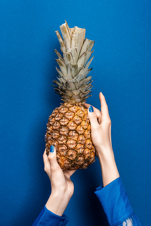 cropped view of woman holding tasty and whole pineapple on blue background