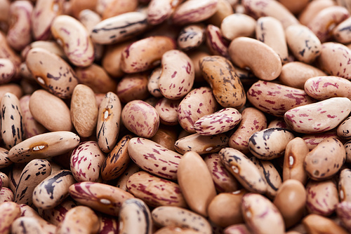close up view of uncooked organic pinto beans