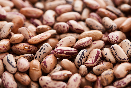 close up view of raw organic pinto beans