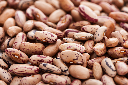 close up view of unprocessed pinto beans