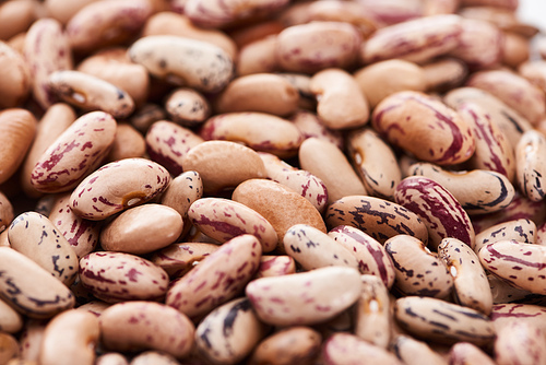 close up view of uncooked pinto beans