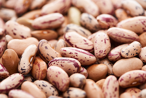close up view of raw pinto beans