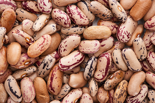 top view of raw organic pinto beans