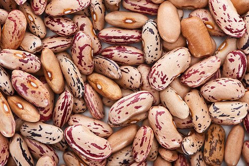 top view of uncooked organic pinto beans