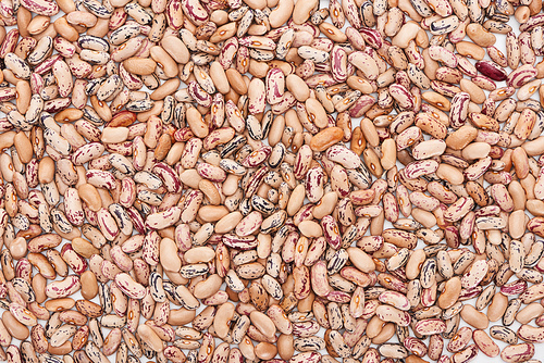 top view of uncooked whole pinto beans