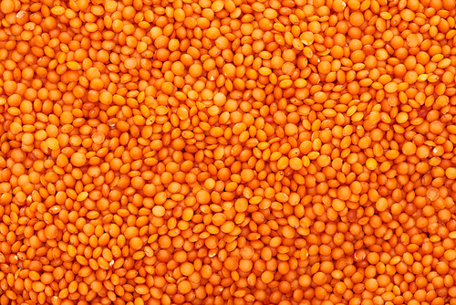top view of uncooked organic red lentil
