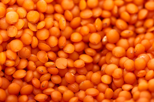 close up view of uncooked red lentil seeds
