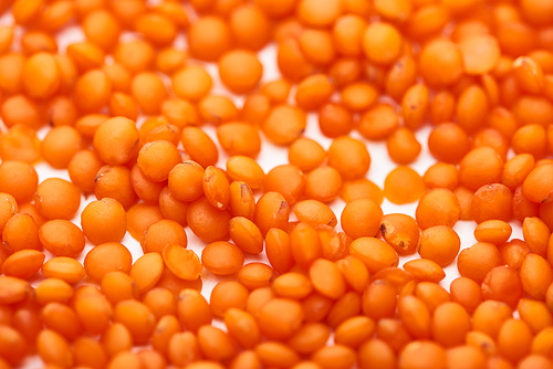 close up view of raw red lentil seeds